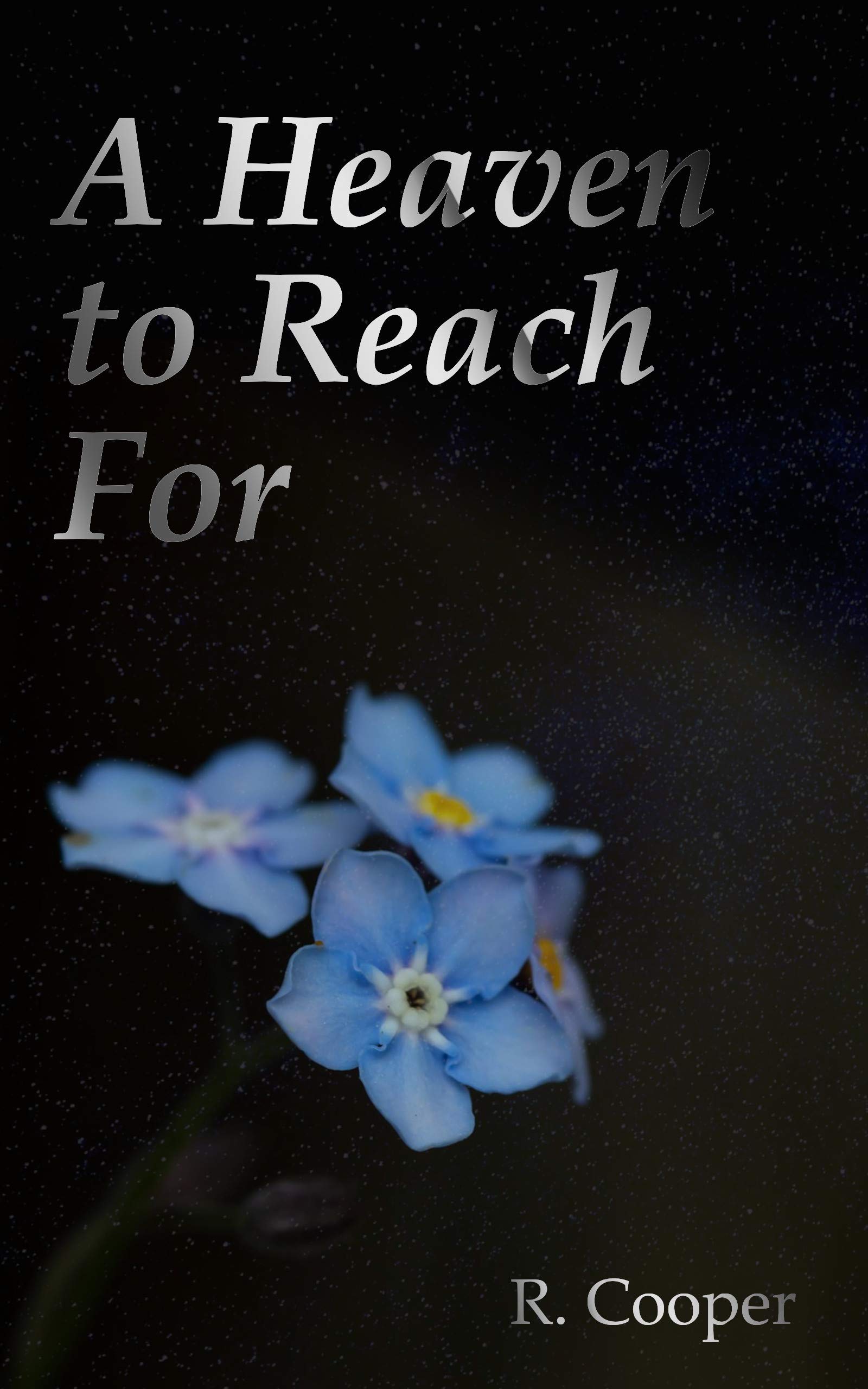 A Heaven to Reach For (ebook)