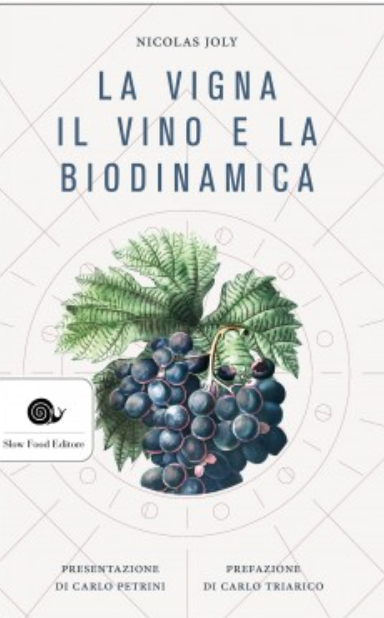 La vigna, il vino e la biodinamica