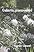 Celeste Unraveled by Karen Gansel