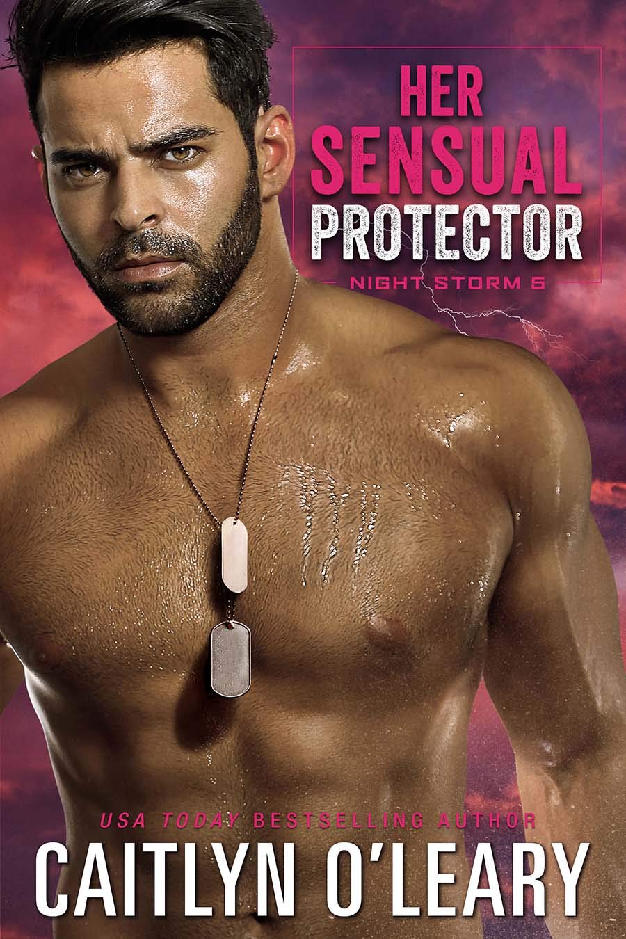 Her Sensual Protector (Night Storm #5)