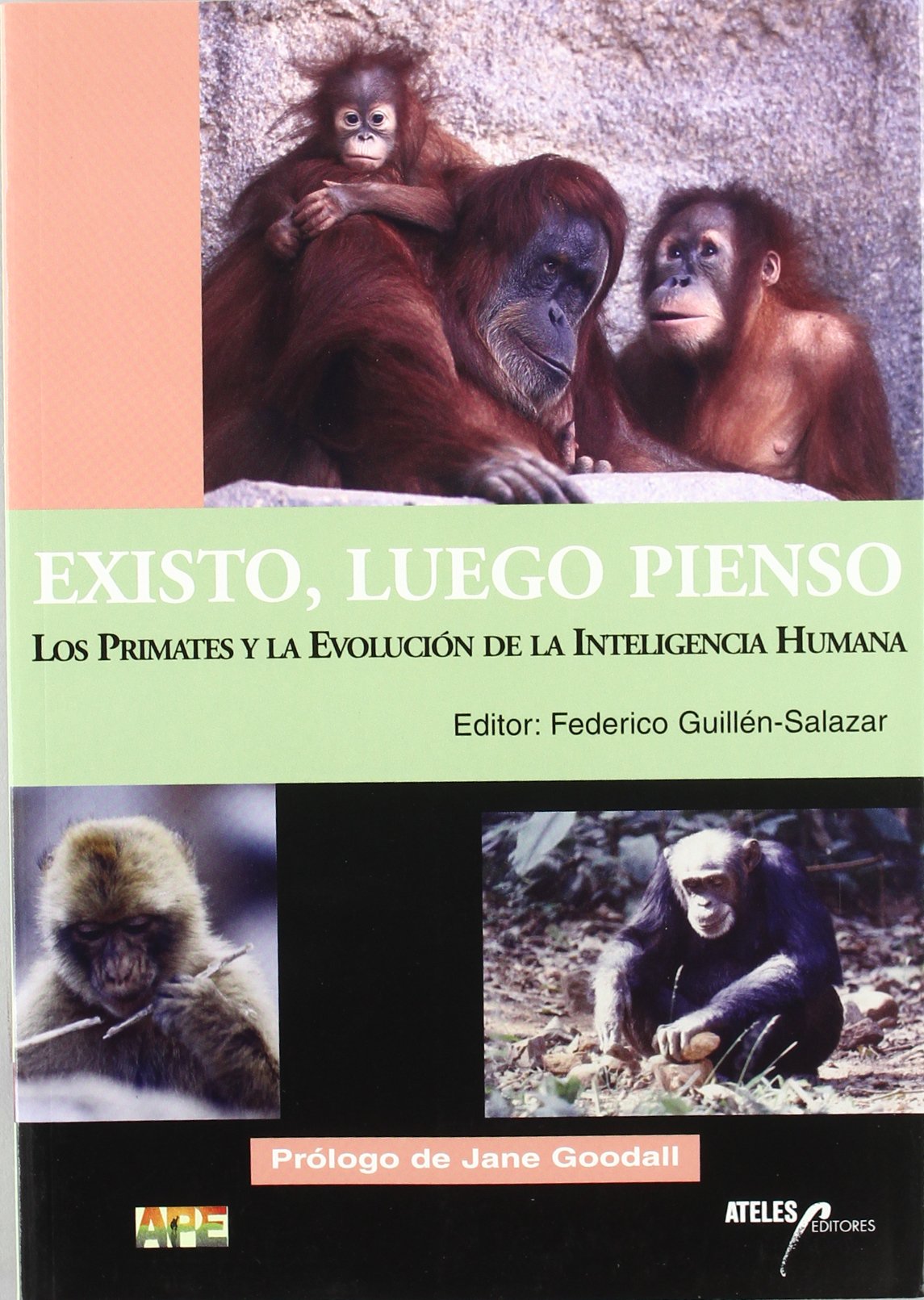 Existo, Luego Pienso: Los Primates y La Evolucion de La Inteligencia Humana (Spanish Edition)