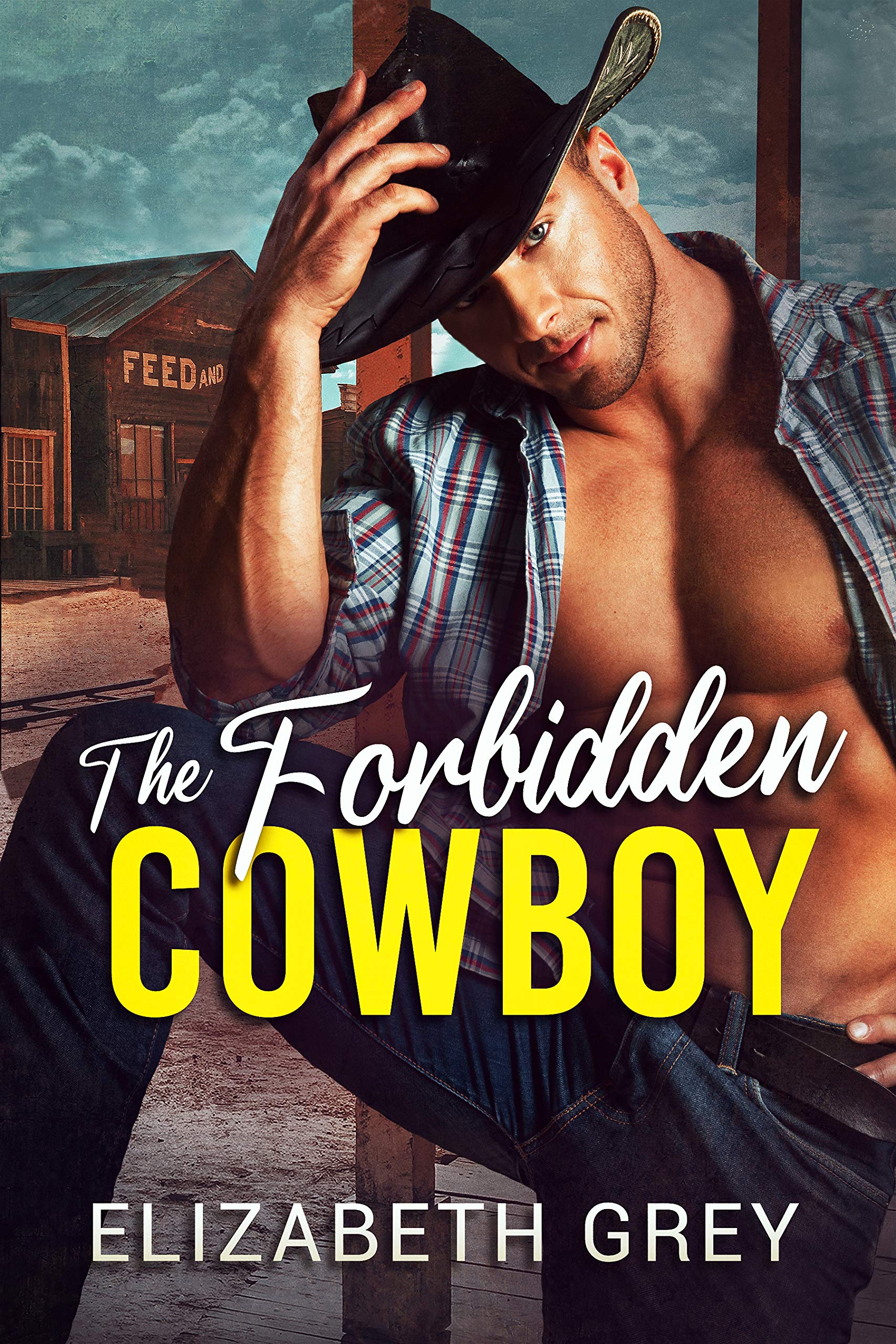 The Forbidden Cowboy (The Wentworth Cowboy Billionaire Series, #2)