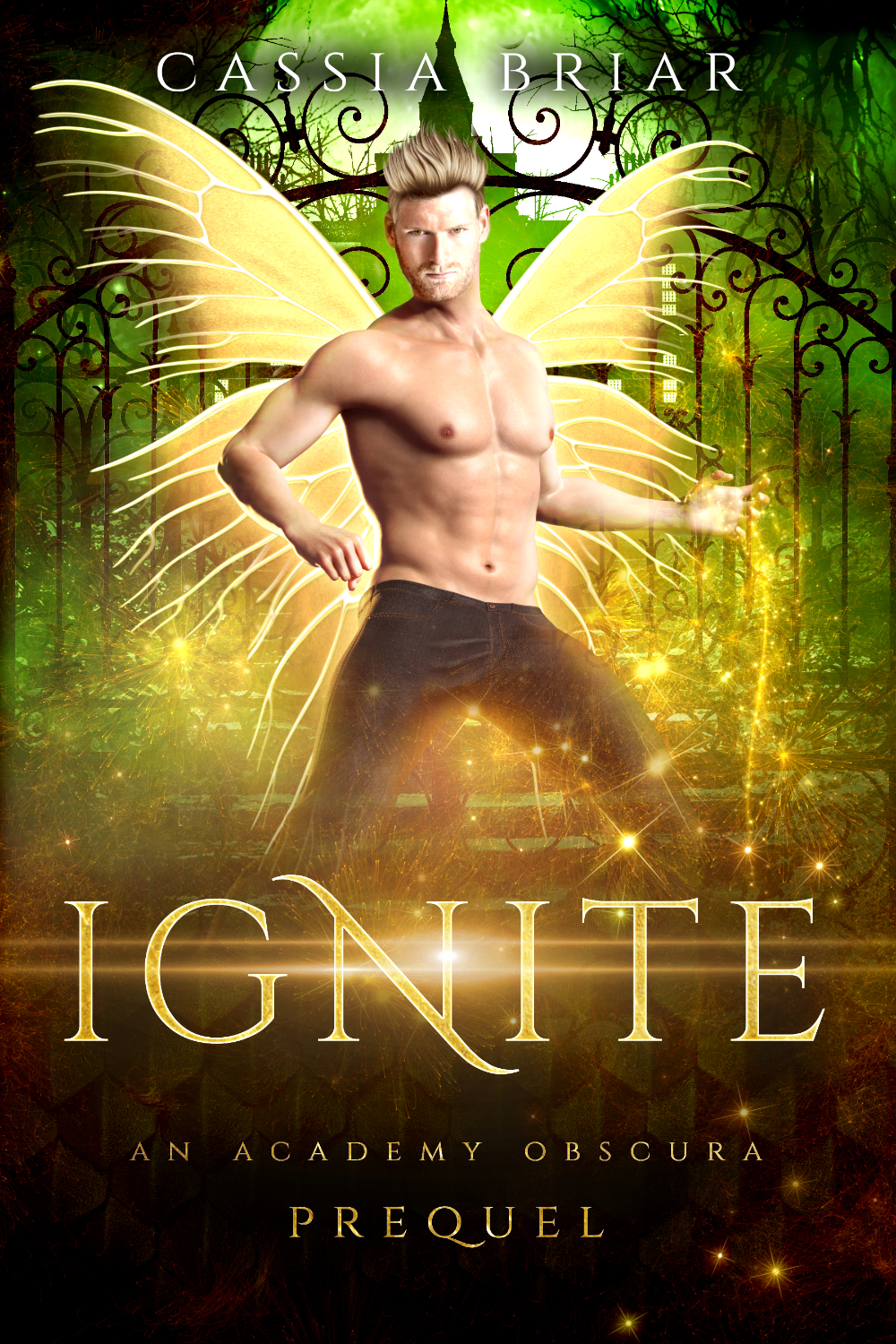 Ignite (Academy Obscura, #0)