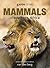 Game Drive: Mammals of Sout...