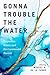 Gonna Trouble the Water: Ecojustice, Water, and Environmental Racism