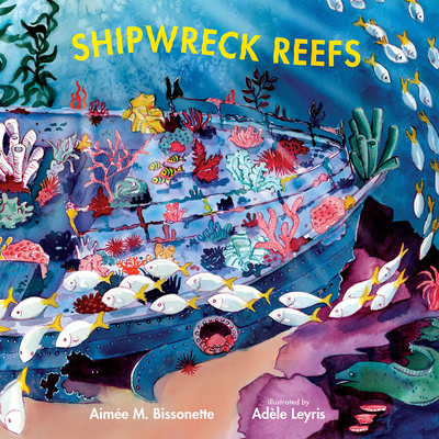 Shipwreck Reefs (Imagine This!)
