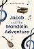 Jacob and the Mandolin Adventure by Anne Dublin