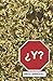 ¿Y? (Spanish Edition)