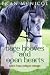 Bare Hooves and Open Hearts: Tales From Nelipot Cottage