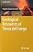 Geological Resources of Tierra del Fuego (Springer Geology)