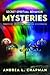 Secret Spiritual Behavior Mysteries by Andrea L Chapman