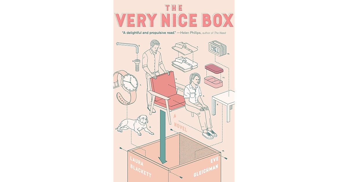 The Very Nice Box by Laura Blackett