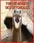 Tortue G�ante des Seychelle...