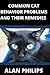Common Cat Behavior Problems and Their Remedies