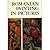 Romanian Paintings in Pictures