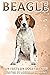 Beagle: Fun Facts on Dogs f...