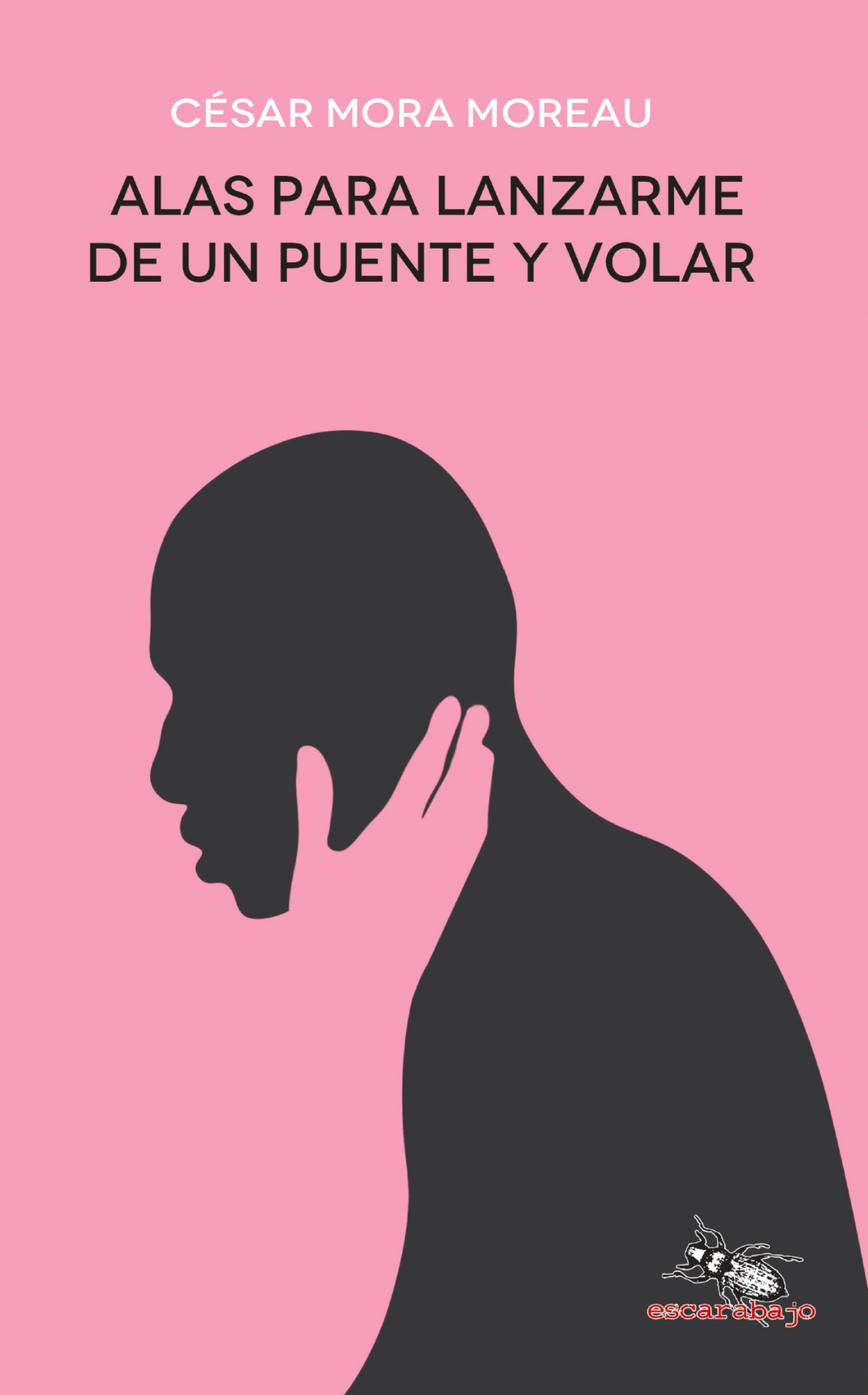 Alas para lanzarme de un puente y volar