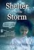 Shelter From The Storm