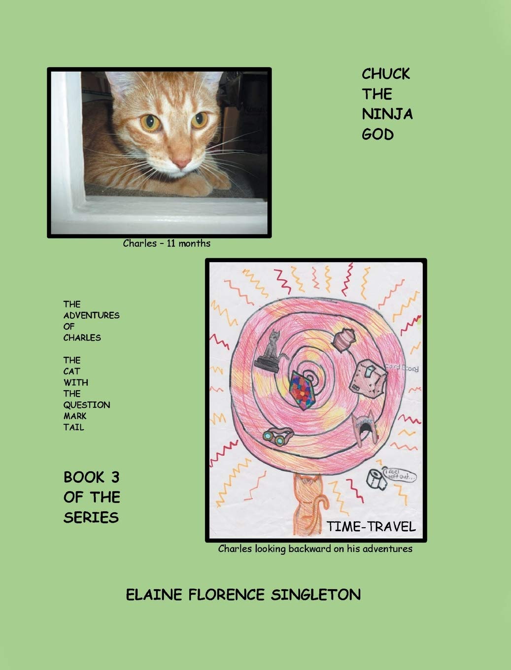 Chuck the Ninja God (The Adventures of Charles the Cat With the Question Mark Tail #3)