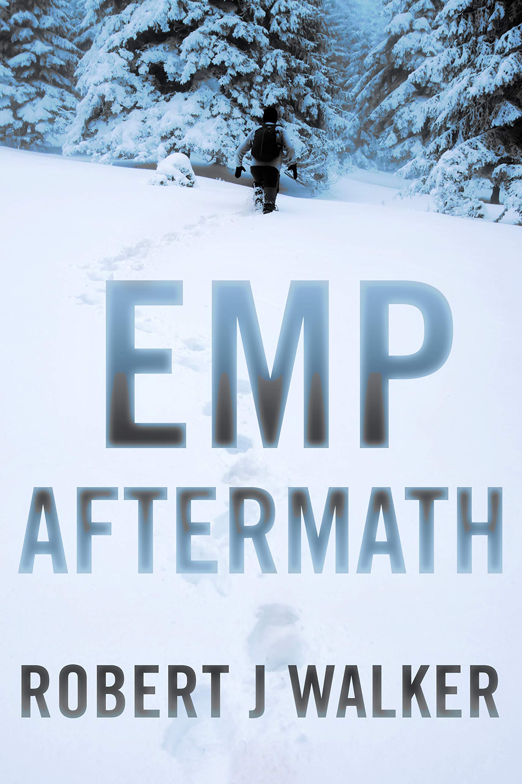 EMP Aftermath: EMP Survival in a Powerless World Boxset (Kindle Edition)