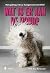 Wat is er aan de hond
