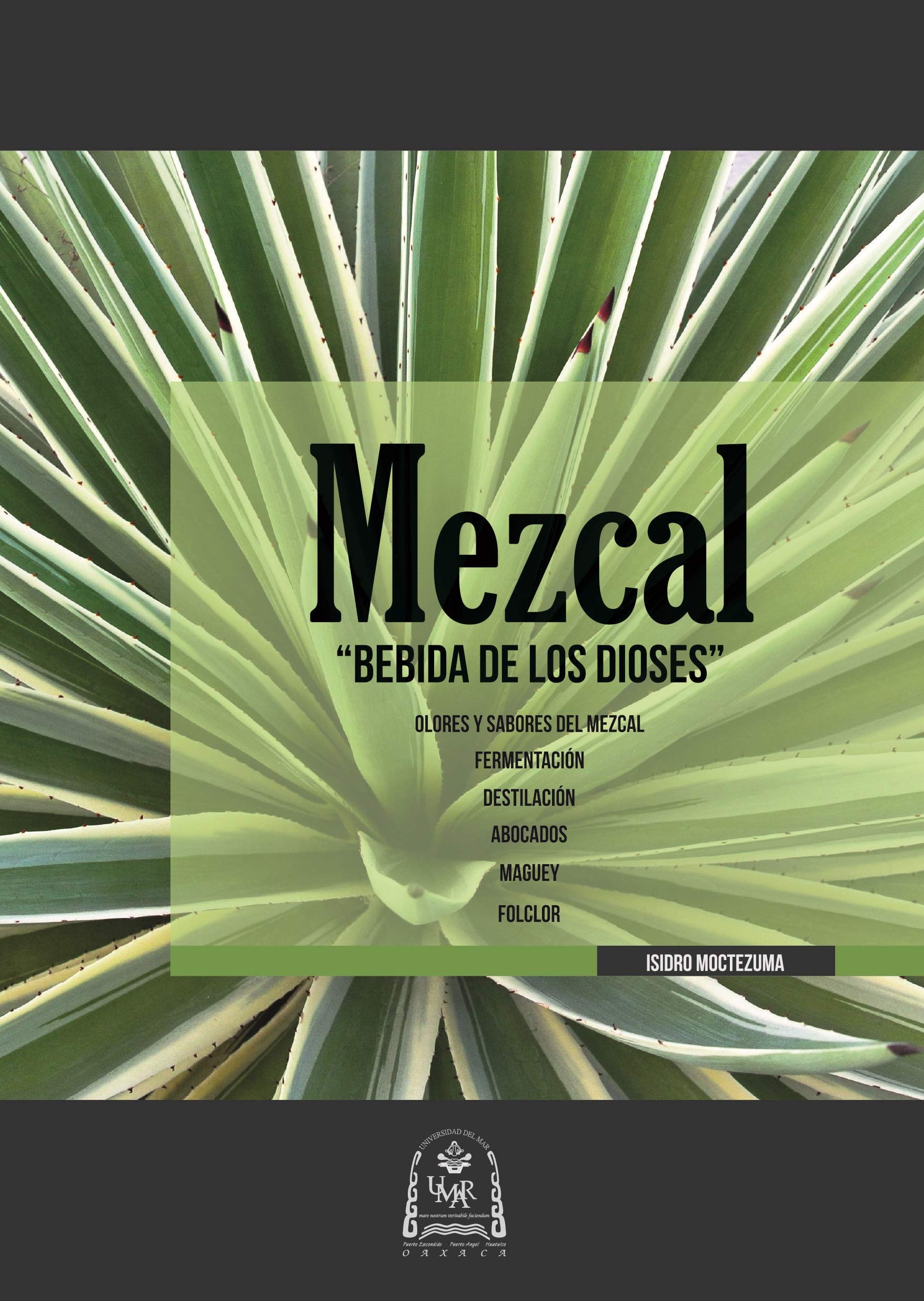 Mezcal: Bebida de los dioses (Spanish Edition)