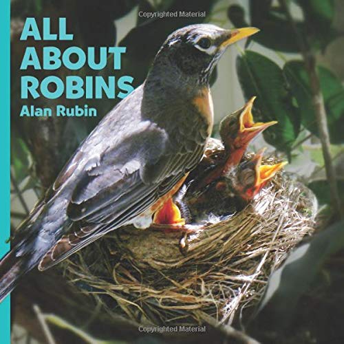 All About Robins (Paperback)