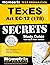 TExES Art EC-12 (178) Secrets Study Guide: TExES Test Review for the Texas Examinations of Educator Standards