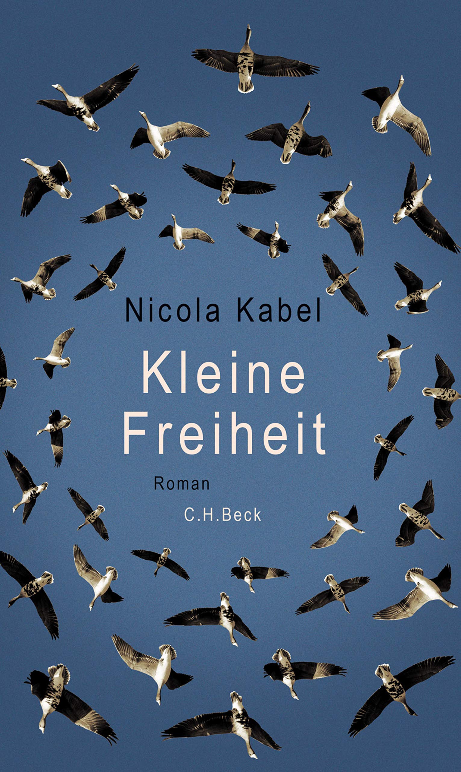 Kleine Freiheit: Roman (German Edition)