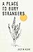 A Place To Bury Strangers (...
