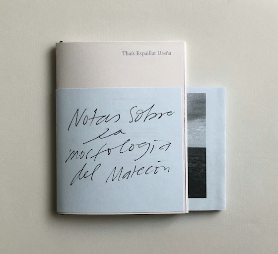 Notas sobre la morfología del Malecón