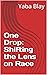 One Drop: Shifting the Lens on Race