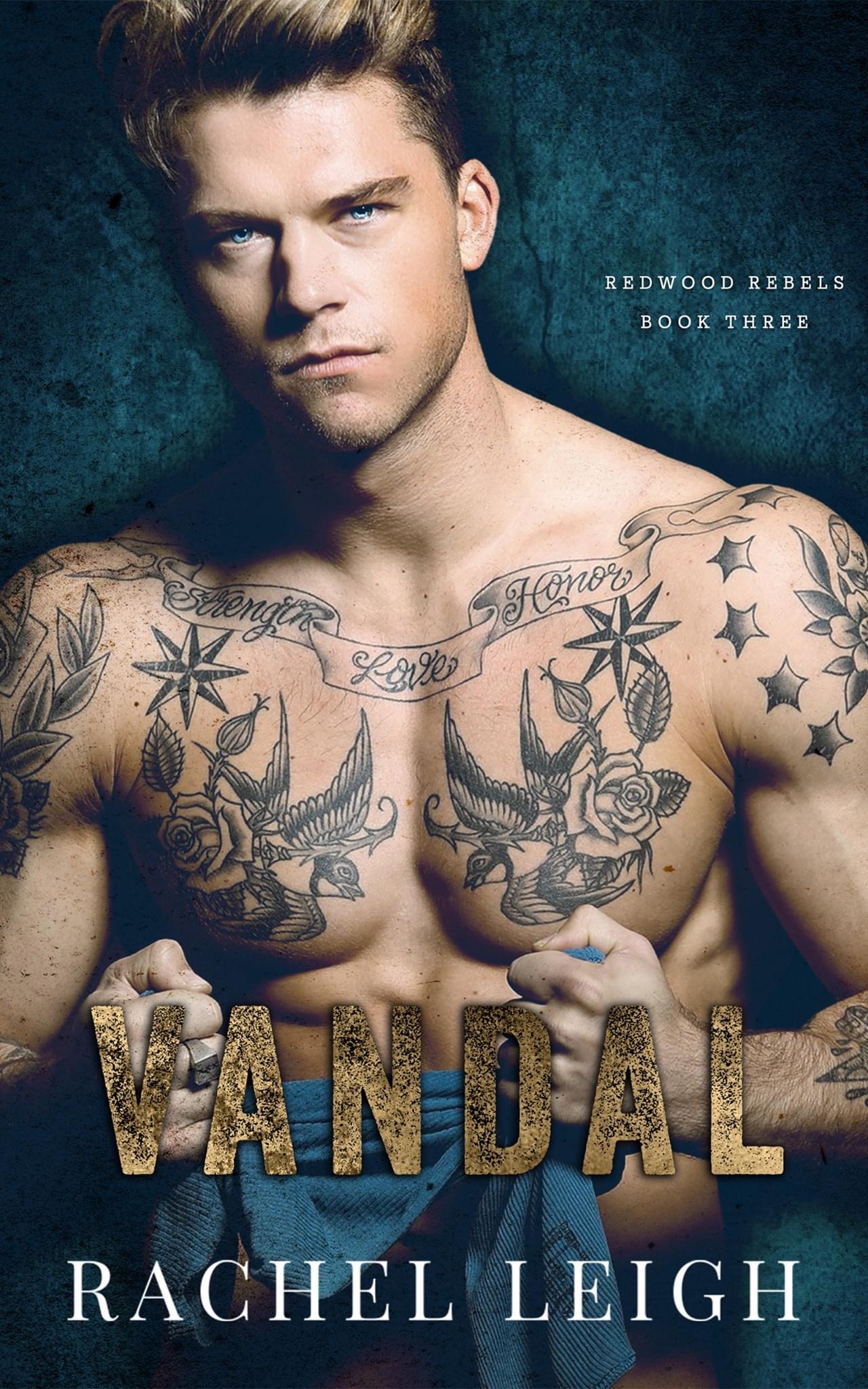 Vandal (Redwood Rebels, #3)