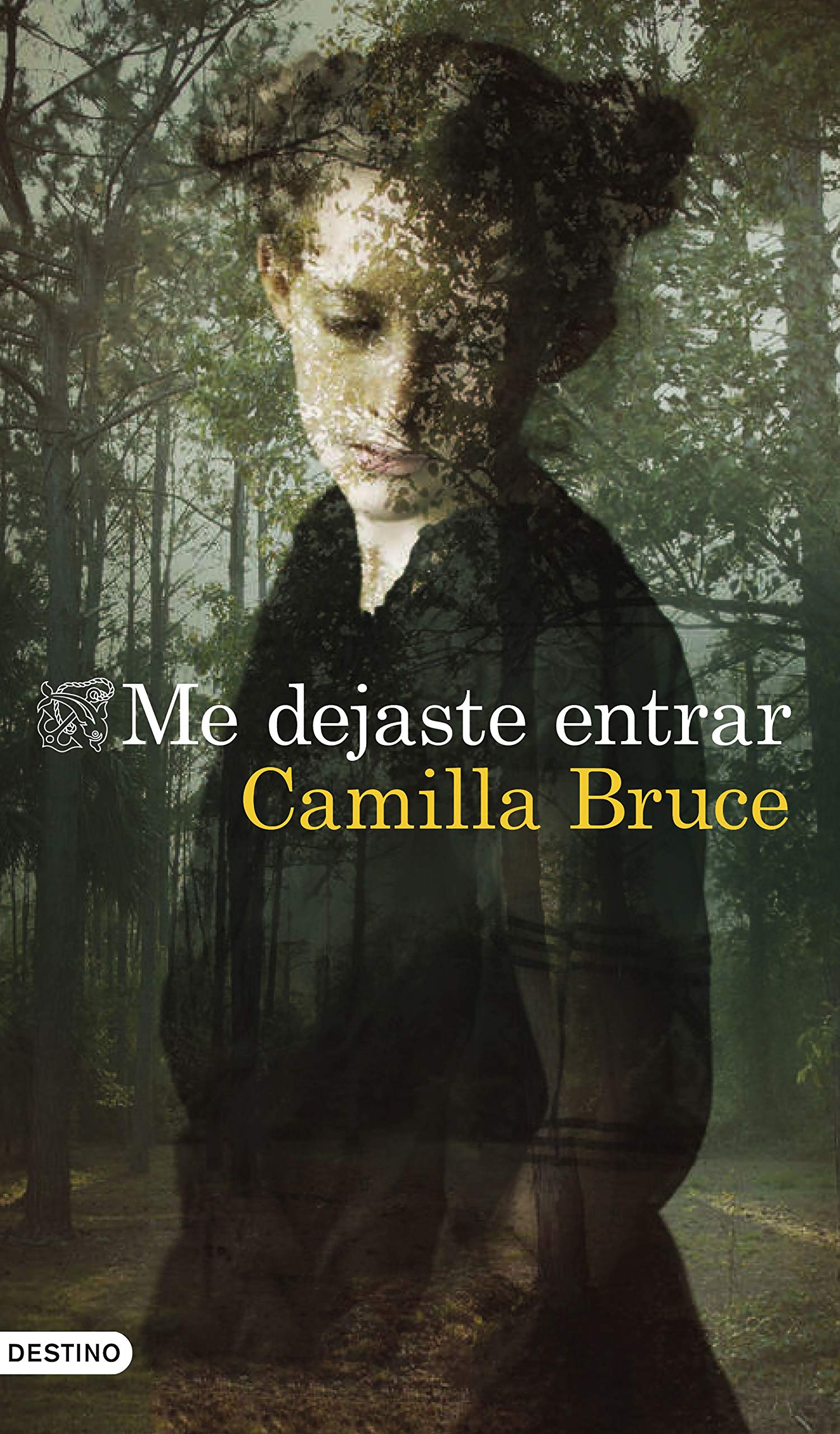 Portada de Me dejaste entrar, de Camilla Bruce