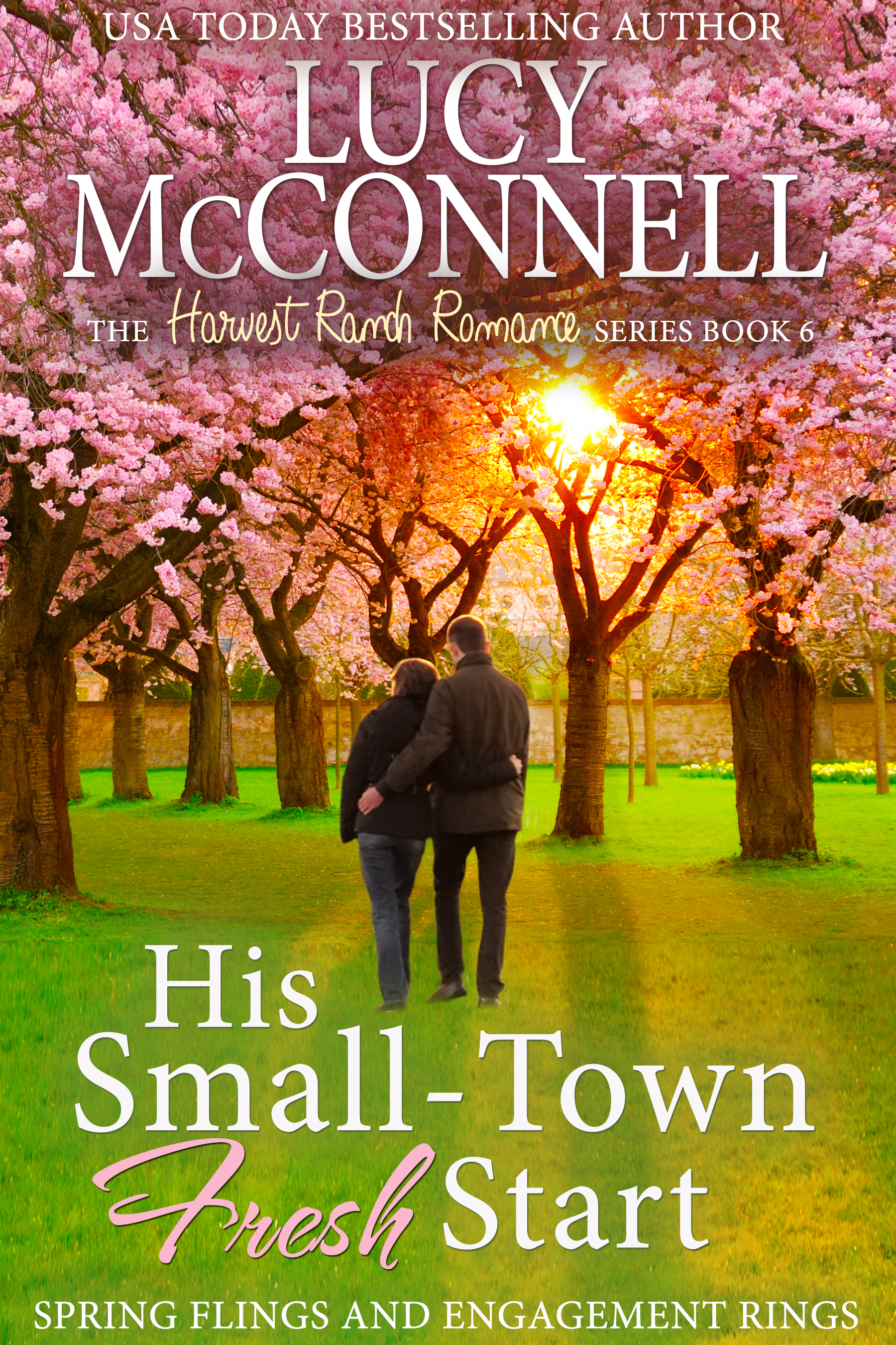 His Small Town Fresh Start