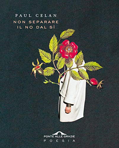Non separare il no dal sì (Paperback)