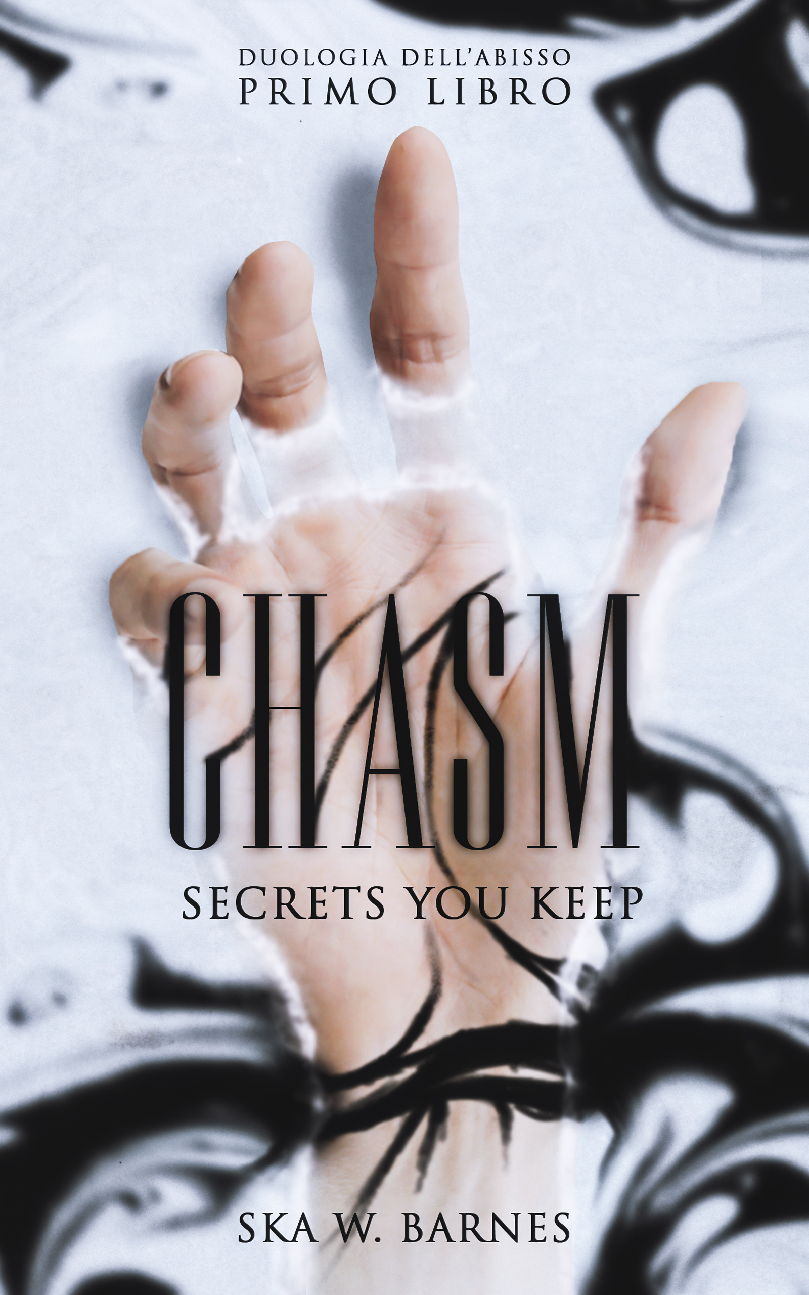 Chasm: secrets you keep (Duologia dell'Abisso, #1)