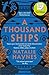 A Thousand Ships by Natalie Haynes