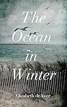 The Ocean In Winter
