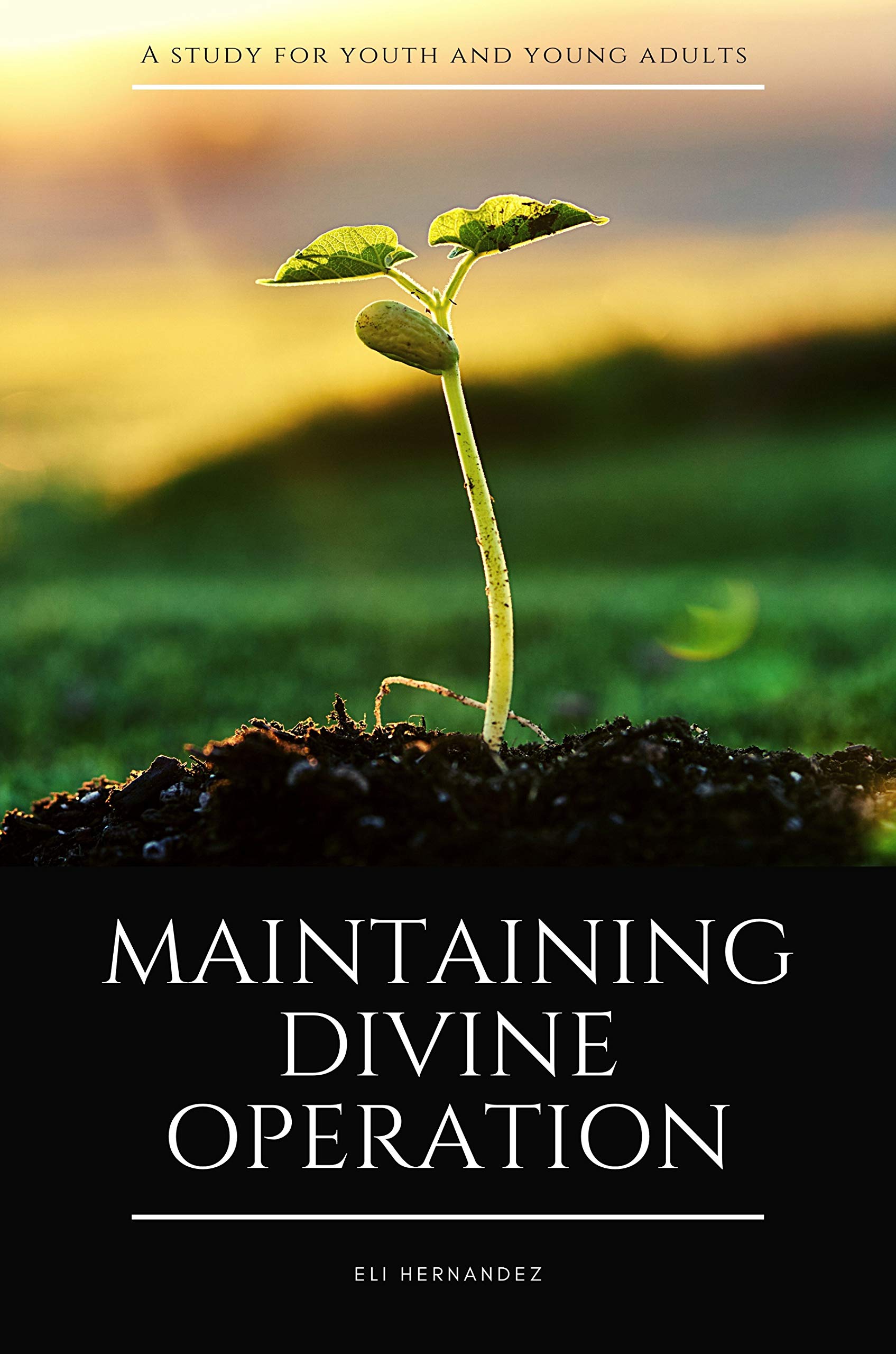 Maintaining Divine Operation: A Study For Youth And Young Adults (Kindle Edition)
