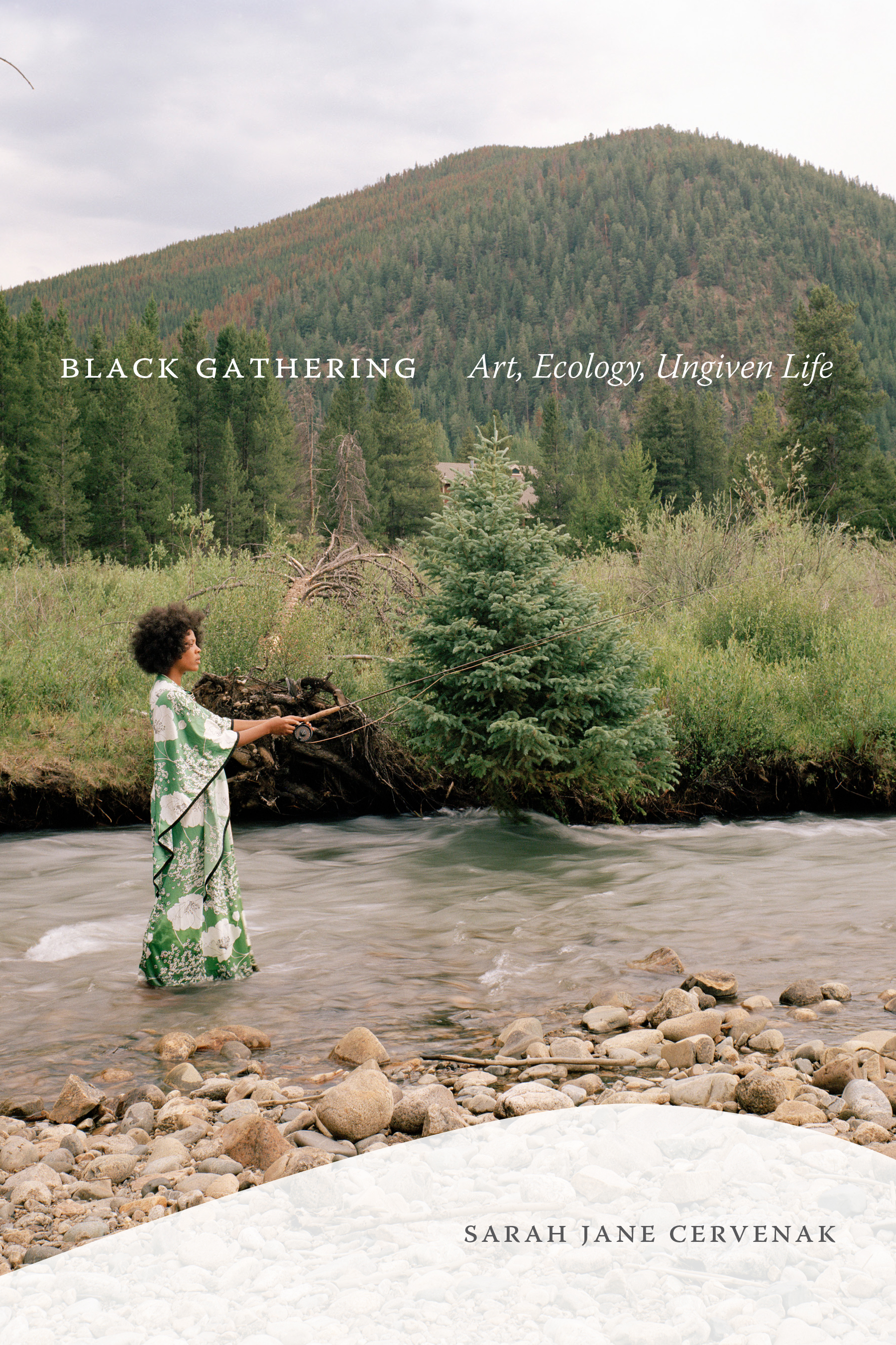 Black Gathering: Art, Ecology, Ungiven Life (Black Outdoors: Innovations in the Poetics of Study)