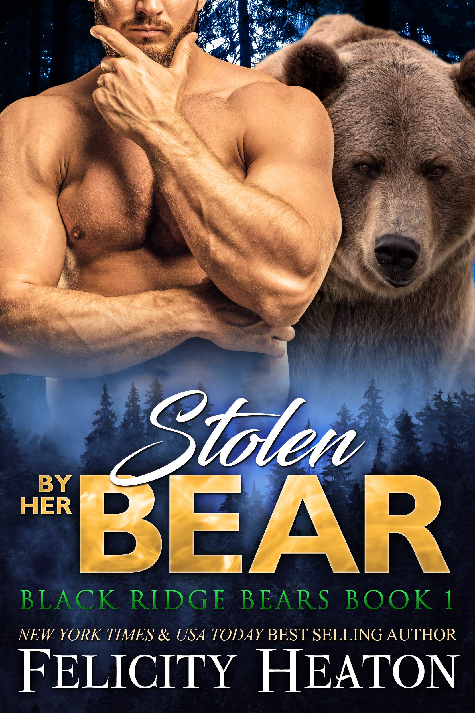 Stolen by Her Bear (Black Ridge Bears, #1)