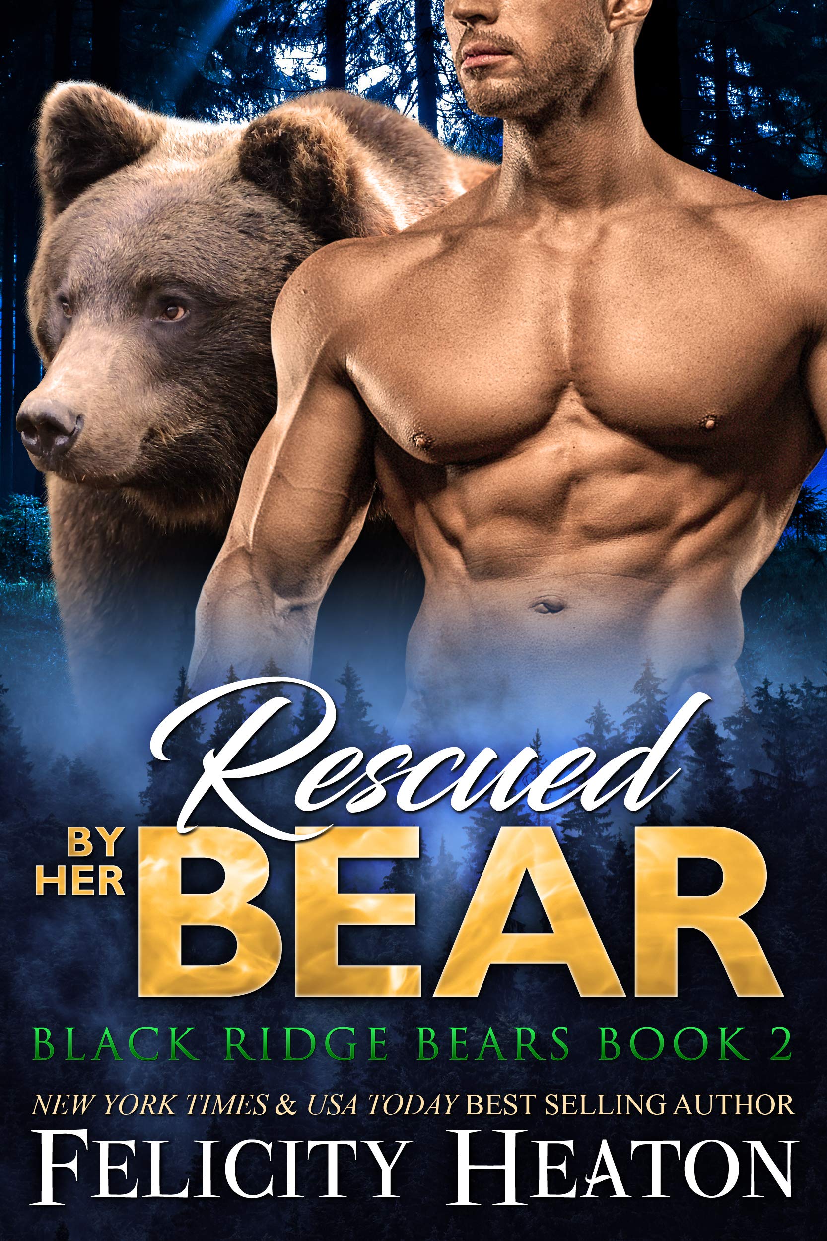 Rescued by Her Bear (Black Ridge Bears #2)