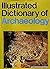 Illustrated Dictionary of Archaeology