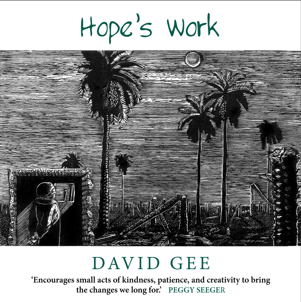 Hope's Work: Facing the future in an age of crises (Paperback)