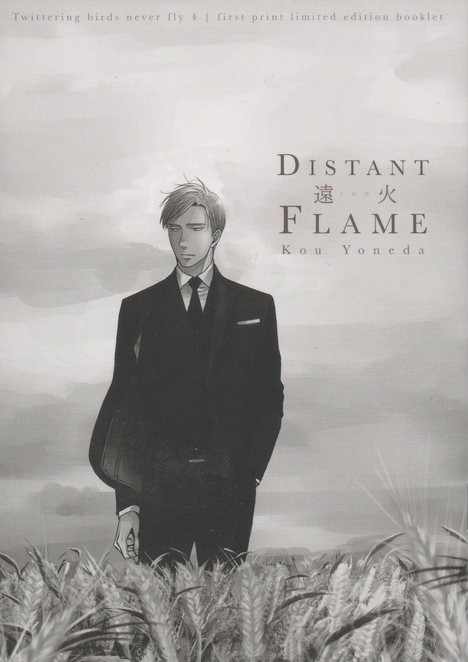 Distant Flame (Paperback)