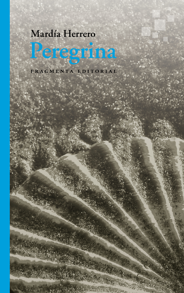 Peregrina (67) (Fragmentos) (Spanish Edition)