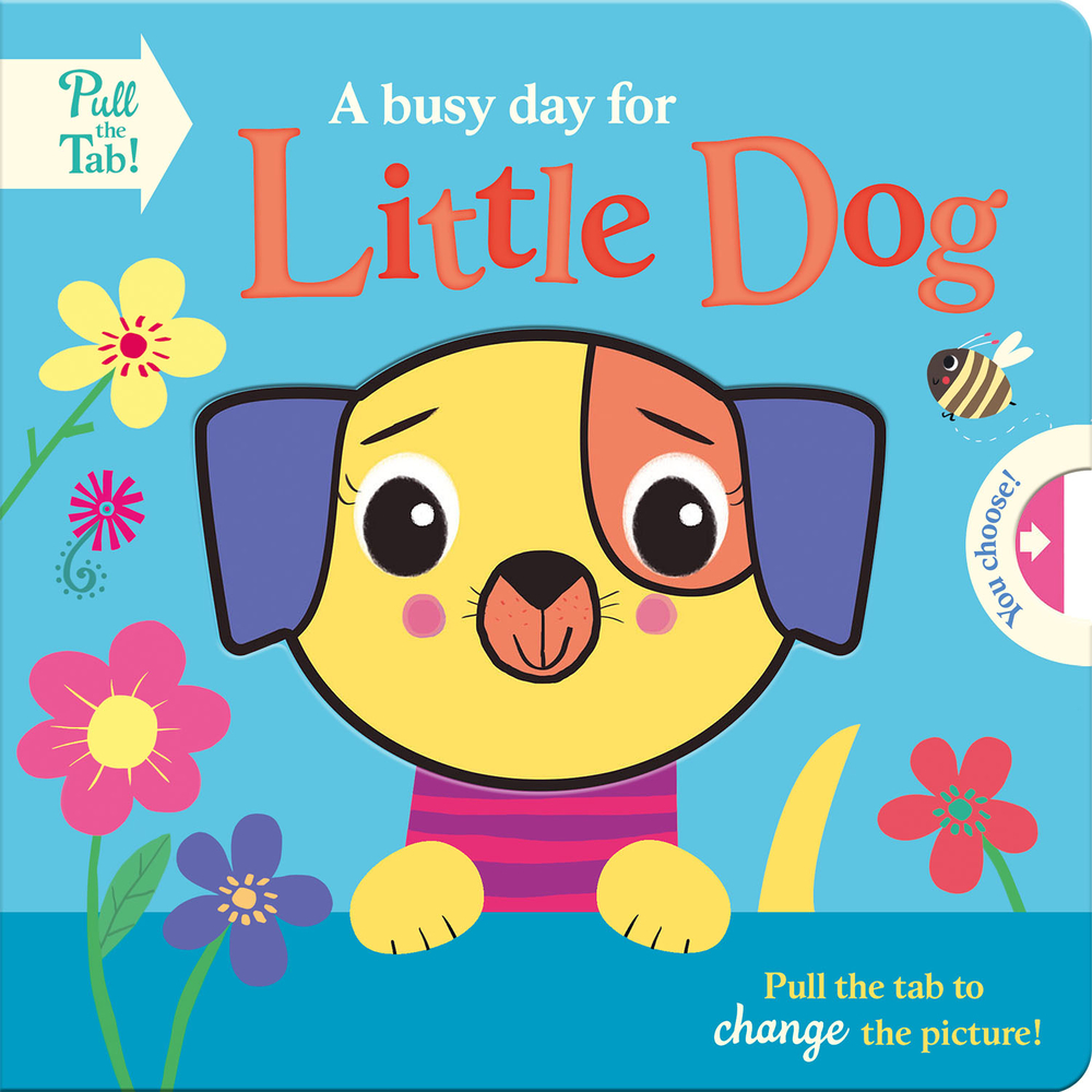 A busy day for Little Dog