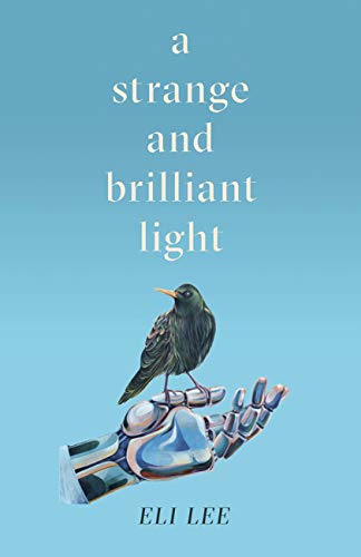 A Strange and Brilliant Light (Kindle Edition)