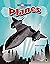 Top Ten: Fastest Planes, Grades 4 - 8